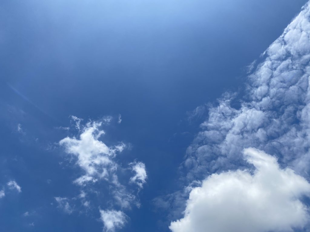 今日の青空