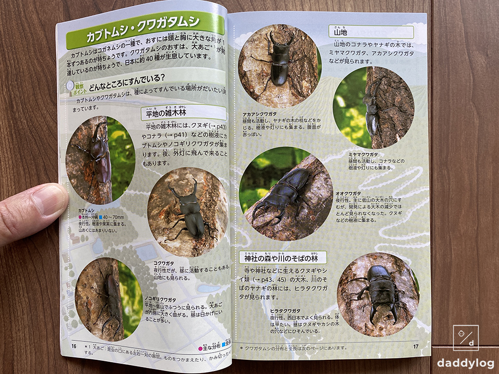 自然観察図鑑のカブトムシのページ