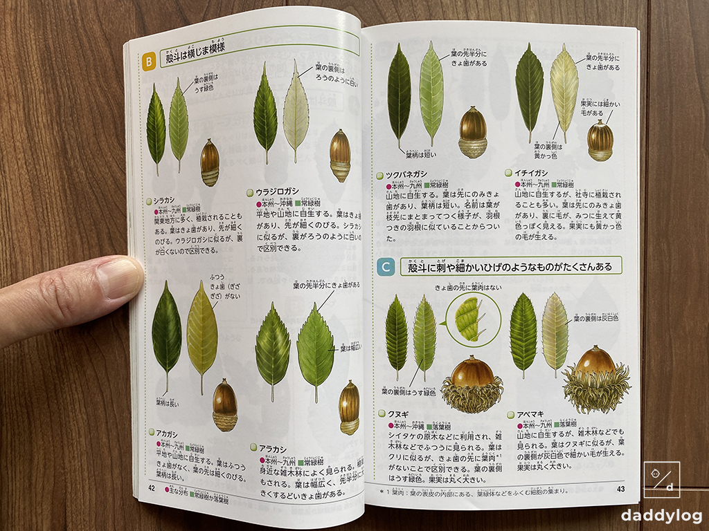 自然観察図鑑の木のページ