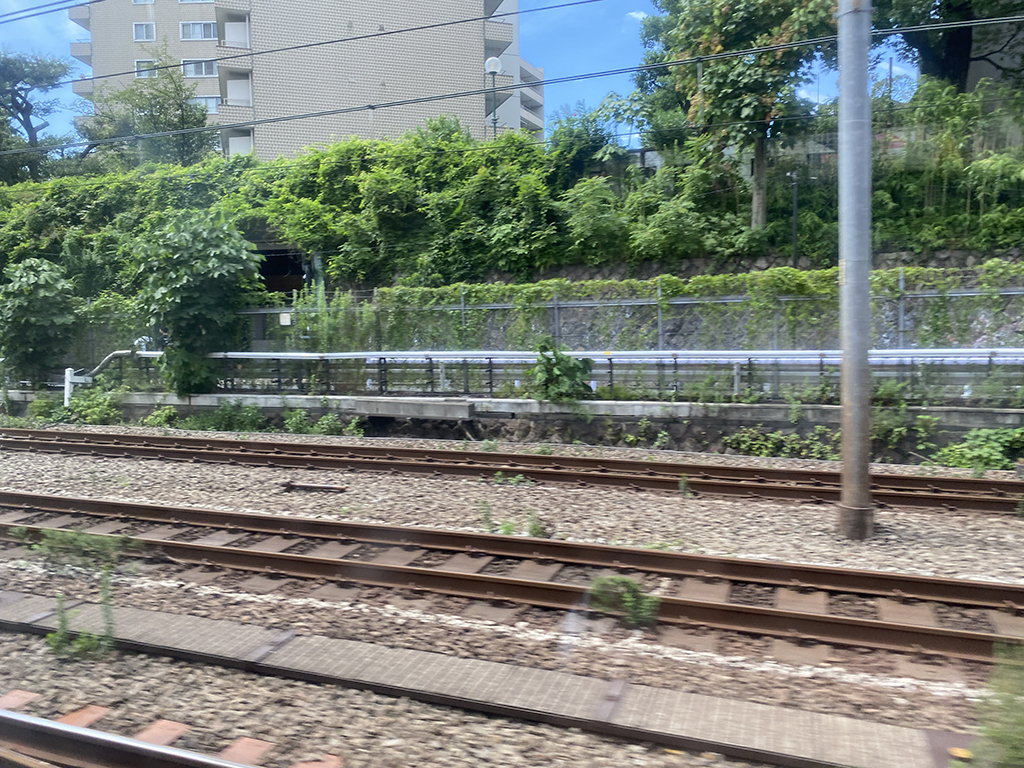 右側の車窓からの風景