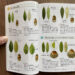 自然観察図鑑の木のページ